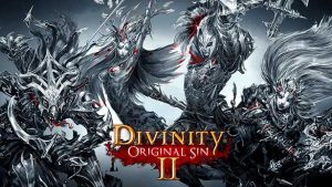 Divinity Original Sin II