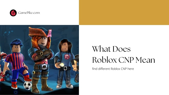 roblox cnp mean
