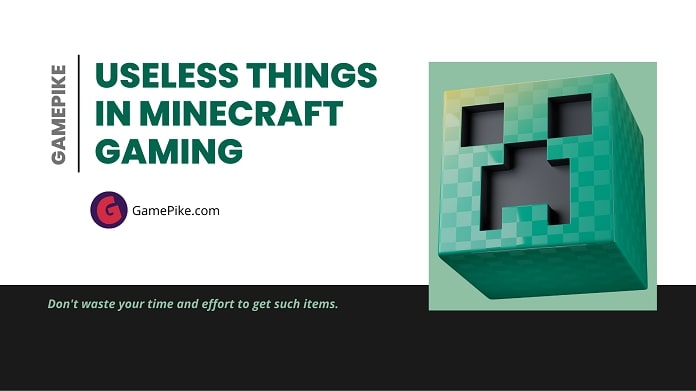 useless things in minecraft