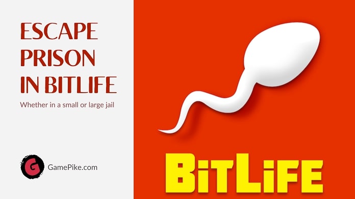 how to escape prison in bitlife