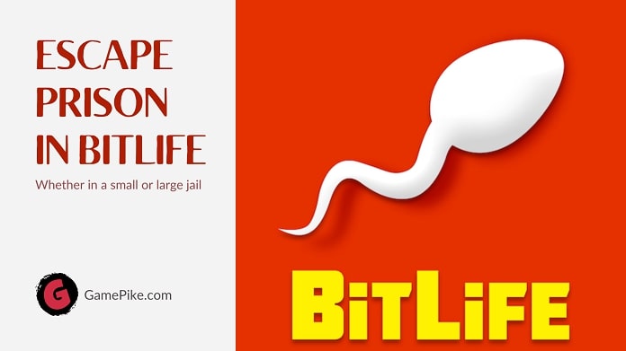 BitLife // 5x4/4x5 (map 2) Prison Escape 