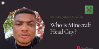 minecraft head guy