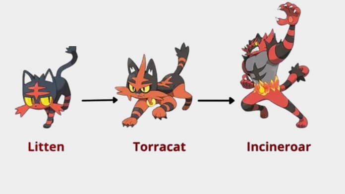 pokemon go litten