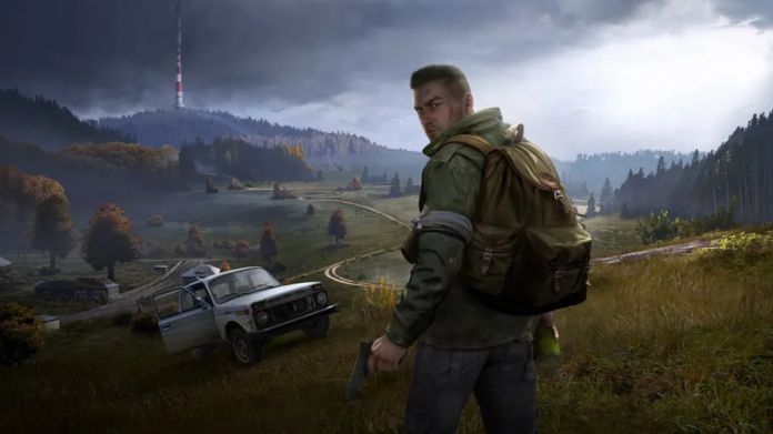 can you play dayz offline