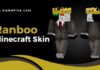 ranboo minecraft skin