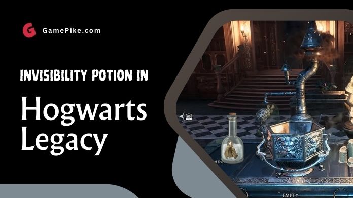 invisibility potion in hogwarts legacy