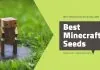 best minecraft seeds