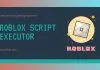 roblox script executor