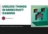 useless things in minecraft