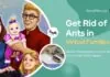 how to get rid of ants in virtual families 3