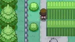 pokemmo mods