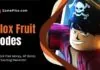 blox fruit codes