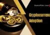 cryptocurrency adoption