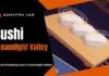 sushi dreamlight valley
