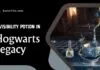 invisibility potion in hogwarts legacy