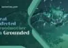 infected broodmother in grounded