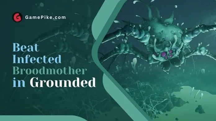infected broodmother in grounded